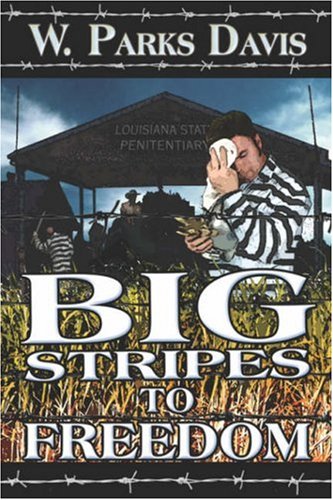 Stock image for Big Stripes to Freedom for sale by Bookmarc's