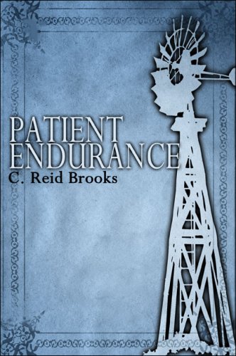 Imagen de archivo de Patient Endurance a la venta por Irish Booksellers