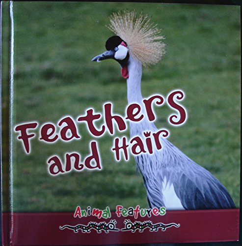 Imagen de archivo de Feathers and Hair (Animal Features) a la venta por medimops