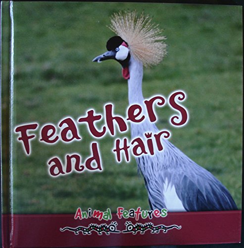 Stock image for Feathers and Hair (Animal Features) for sale by medimops