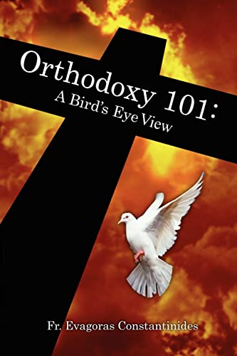 Stock image for Orthodoxy 101: A Bird's Eye View for sale by SecondSale