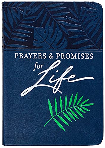 9781424562640: Prayers & Promises for Life