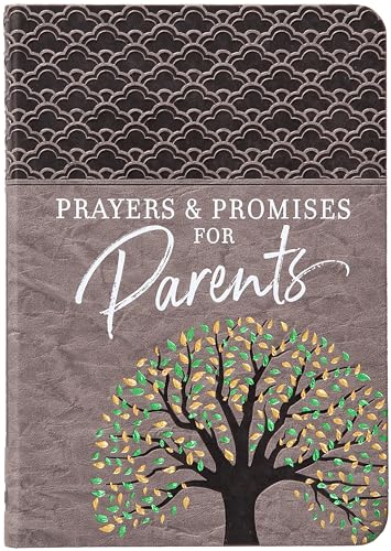 9781424566662: Prayers & Promises for Parents