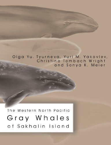Stock image for The Western North Pacific Gray Whales of Sakhalin Island for sale by Revaluation Books