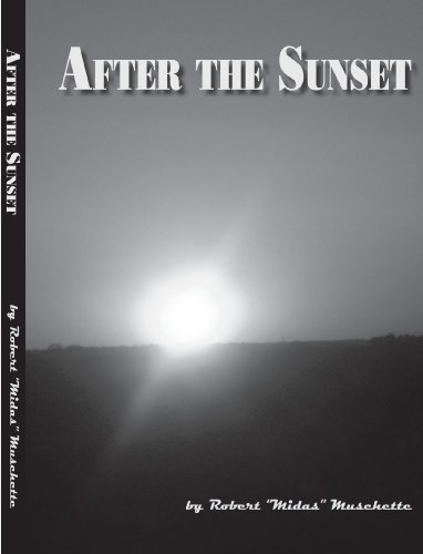 Stock image for After The Sunset for sale by Revaluation Books