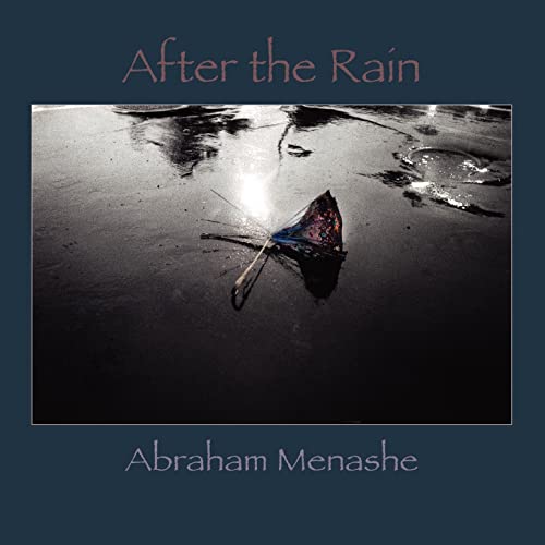 Beispielbild fr After the Rain zum Verkauf von PBShop.store US