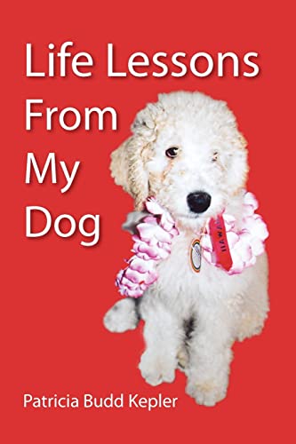 Stock image for Life Lessons from My Dog for sale by Lucky's Textbooks