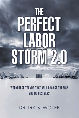 Stock image for The Perfect Labor Storm 2.0: Workforce Trends That Will Change The Way You Do Business for sale by Wonder Book