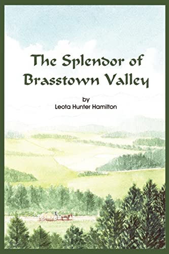 Imagen de archivo de The Splendor of Brasstown Valley: Mountain Folks a la venta por Chiron Media