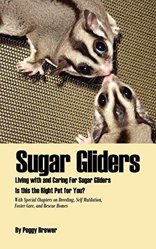 Sugar Gliders: Living with and Caring For Sugar Gliders Is this the Right Pet for You?