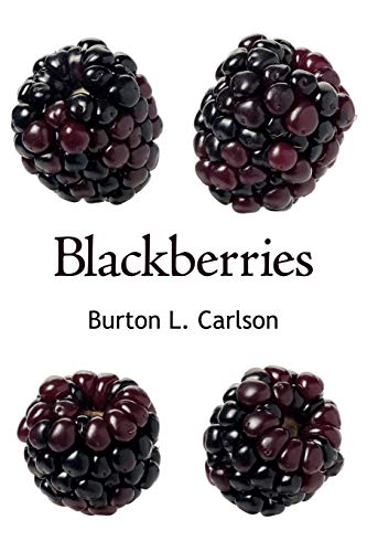 9781425982676: Blackberries