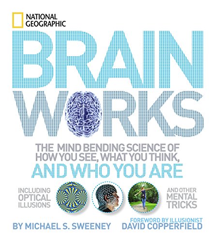 Imagen de archivo de Brainworks: The Mind-bending Science of How You See, What You Think, and Who You Are a la venta por Your Online Bookstore
