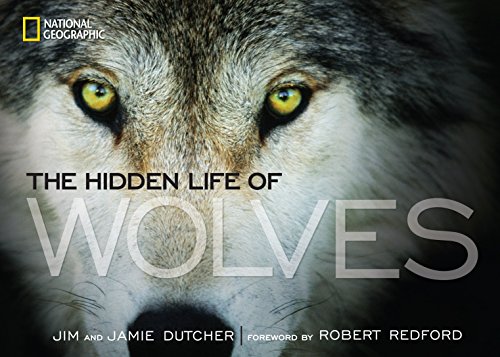 Beispielbild fr The Hidden Life of Wolves zum Verkauf von SecondSale