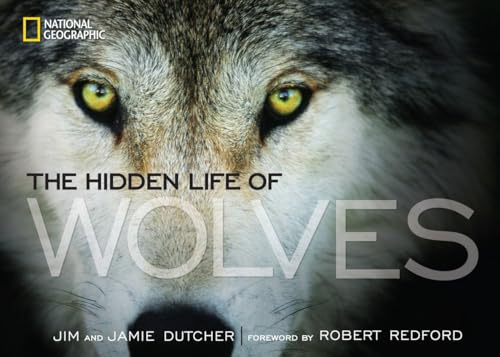 9781426210129: Hidden Life of Wolves, The