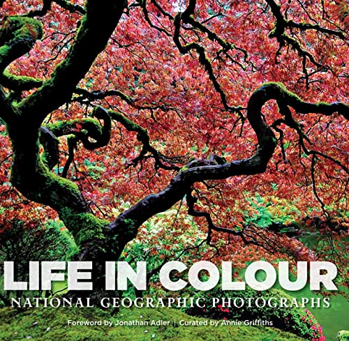 Beispielbild fr Life in Colour: National Geographic Photographs zum Verkauf von WorldofBooks