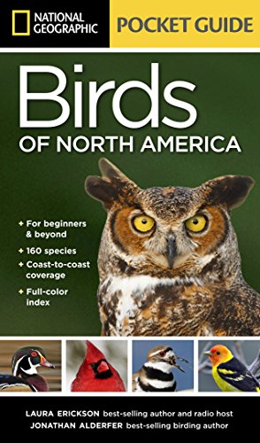 9781426210440: National Geographic Pocket Guide to the Birds of North America