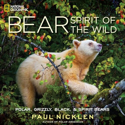 Bear Spirit of the Wild Polar, Grizzly, Black, & Spirit Bears