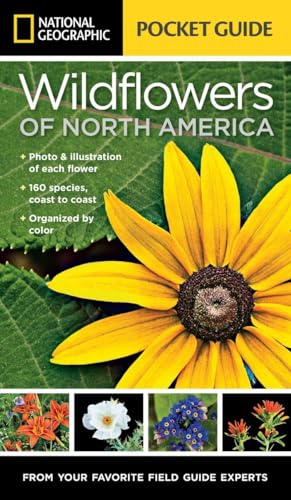 Stock image for National Geographic Pocket Guide to Wildflowers of North America for sale by HPB-Emerald