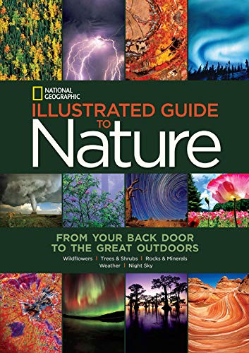 Beispielbild fr Illustrated Guide to Nature : From Your Back Door to the Great Outdoors: Wildflowers, Trees and Shrubs, Rocks and Minerals, Weather, Night Sky zum Verkauf von Wonder Book
