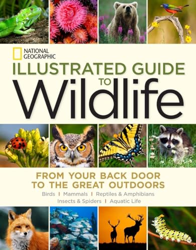 Stock image for National Geographic Illustrated Guide to Wildlife: From Your Back Door to the Great Outdoors for sale by Bookoutlet1