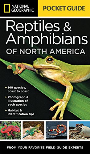 Stock image for National Geographic Pocket Guide to Reptiles and Amphibians of North America for sale by Goodwill of Colorado