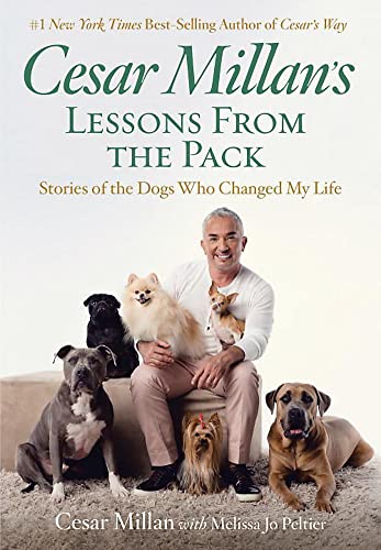 Stock image for Cesar Millan's Lessons From the Pack: Stories of the Dogs Who Changed My Life for sale by SecondSale