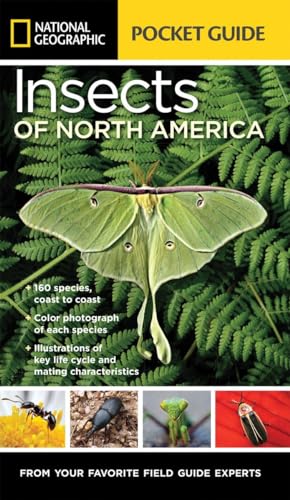 Beispielbild fr National Geographic Pocket Guide to Insects of North America zum Verkauf von Bookoutlet1