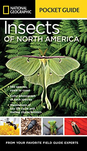 Imagen de archivo de National Geographic Pocket Guide to Insects of North America a la venta por Bookoutlet1