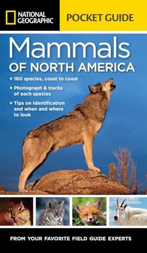 Stock image for National Geographic Pocket Guide to the Mammals of North America for sale by Goodwill