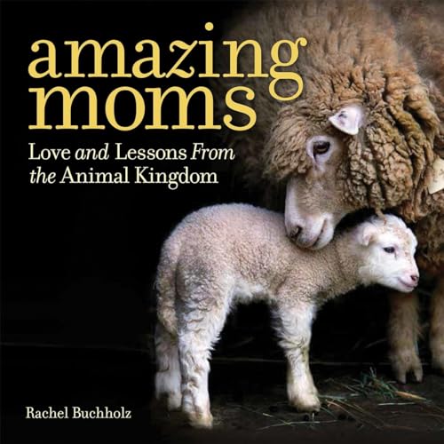 Beispielbild fr Amazing Moms: Love and Lessons From the Animal Kingdom zum Verkauf von Wonder Book