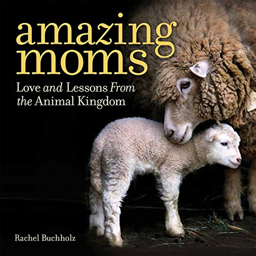 Stock image for Amazing Moms: Love and Lessons From the Animal Kingdom for sale by SecondSale