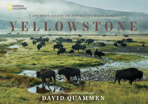 Beispielbild fr Yellowstone : A Journey Through America's Wild Heart zum Verkauf von Better World Books