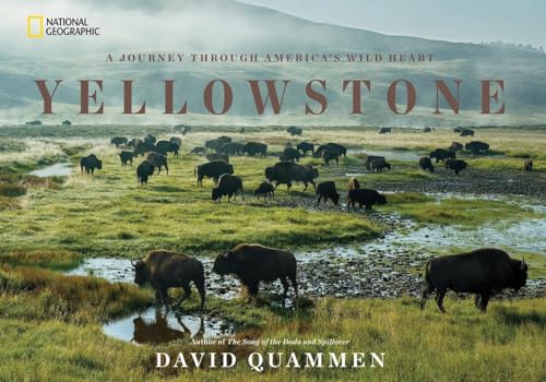 9781426217548: Quammen, D: Yellowstone [Idioma Ingls]: A Journey Through America's Wild Heart
