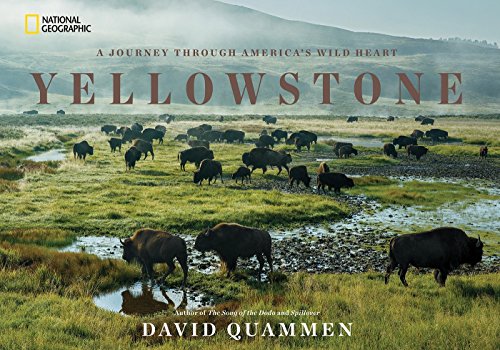 Stock image for Yellowstone: A Journey Through Americas Wild Heart for sale by Goodwill Books