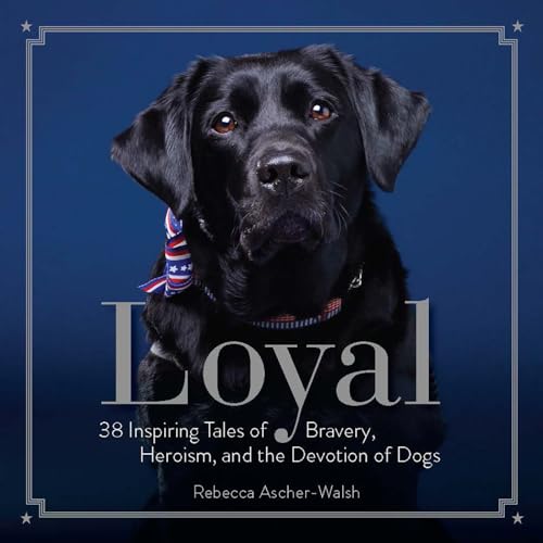 Stock image for Loyal: 38 Inspiring Tales of Bravery, Heroism, and the Devotion of Dogs for sale by SecondSale