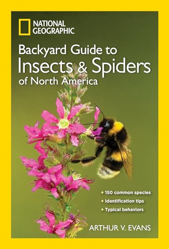 Imagen de archivo de National Geographic Backyard Guide to Insects and Spiders of North America a la venta por ZBK Books