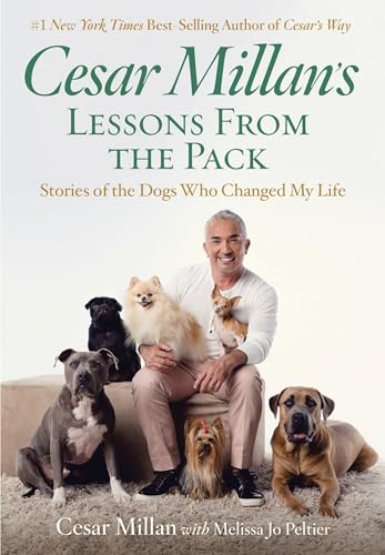 Imagen de archivo de Cesar Millan's Lessons From the Pack: Stories of the Dogs Who Changed My Life a la venta por Wonder Book