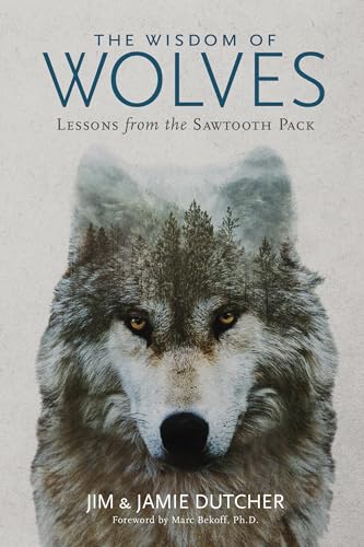 Beispielbild fr The Wisdom of Wolves: Lessons From the Sawtooth Pack zum Verkauf von Ergodebooks