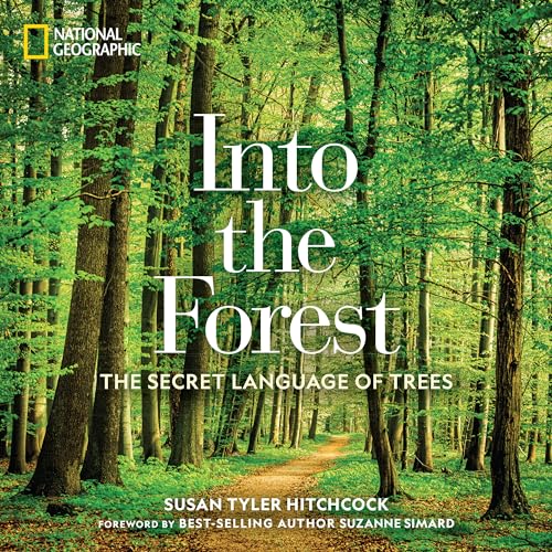 Beispielbild fr Into the Forest: The Secret Language of Trees zum Verkauf von SecondSale