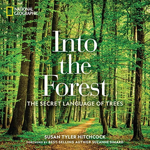 Imagen de archivo de Into the Forest: The Secret Language of Trees a la venta por Zoom Books Company