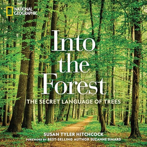 Stock image for Into the Forest: The Secret Language of Trees for sale by Zoom Books Company