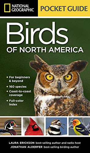 9781426221194: National Geographic Pocket Guide to the Birds of North America