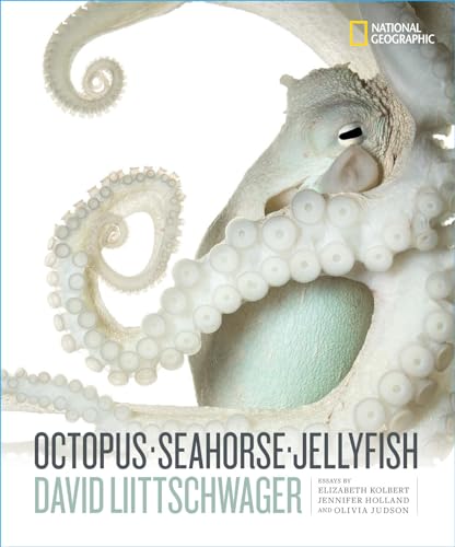 Beispielbild fr Octopus, Seahorse, Jellyfish zum Verkauf von Blackwell's