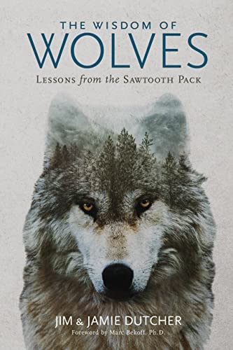 Beispielbild fr The Wisdom of Wolves : Lessons from the Sawtooth Pack zum Verkauf von Better World Books