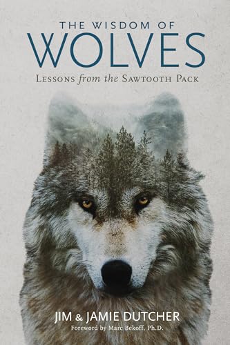 Stock image for The Wisdom of Wolves : Lessons from the Sawtooth Pack for sale by Better World Books