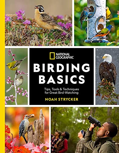 Beispielbild fr National Geographic Birding Basics: Tips, Tools, and Techniques for Great Bird-watching zum Verkauf von PlumCircle