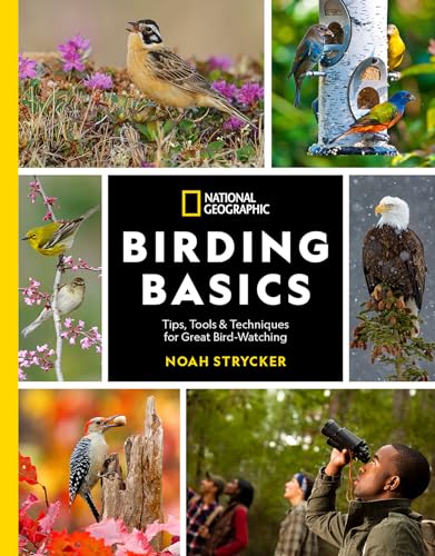 Stock image for National Geographic Birding Basics: Tips, Tools, and Techniques for Great Bird-watching for sale by PlumCircle
