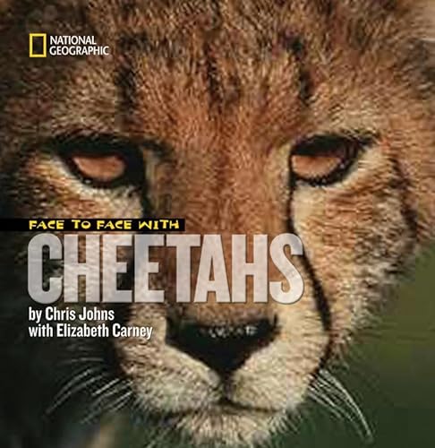 Stock image for Face to Face with Cheetahs for sale by Better World Books