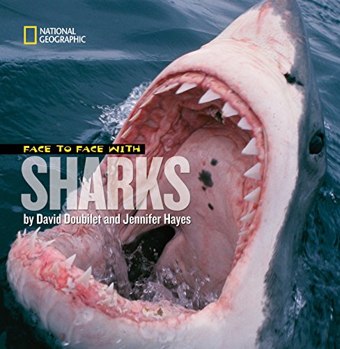 Beispielbild fr Face to Face With Sharks (Face to Face with Animals) zum Verkauf von Irish Booksellers