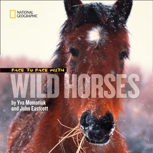 Stock image for Face to Face With Wild Horses (Face to Face with Animals) for sale by Ergodebooks